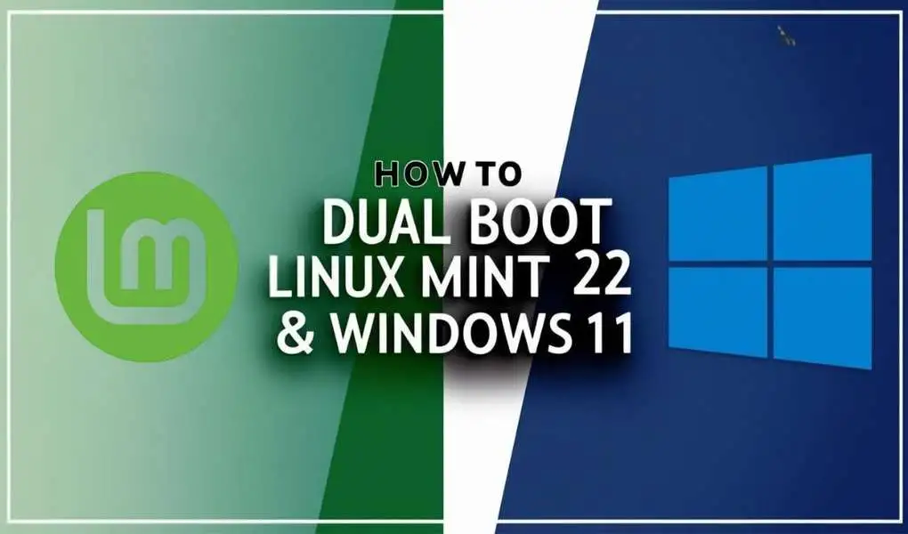 Linux Mint dual boot installation